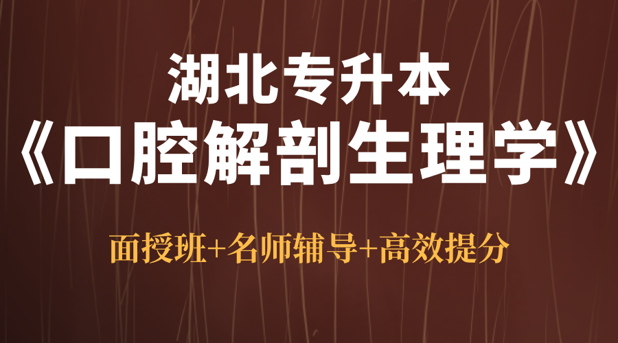湖北普通专升本《口腔解剖生理学》面授班