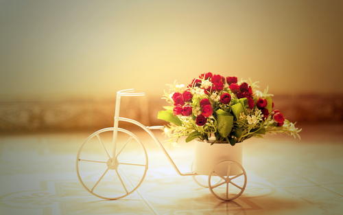 u=296614604,3517308647&fm=26&gp=0.jpg